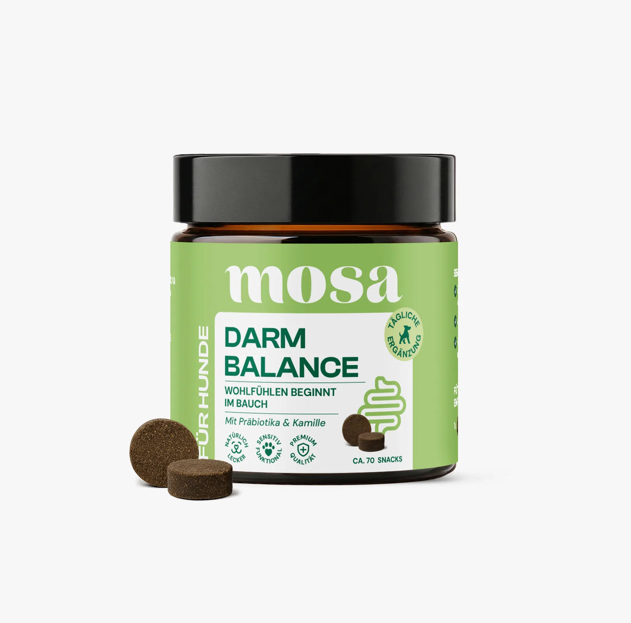 Darm Balance Verdauungssnacks