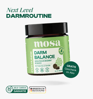 Darm Balance Verdauungssnacks