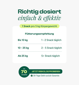 Darm Balance Verdauungssnacks