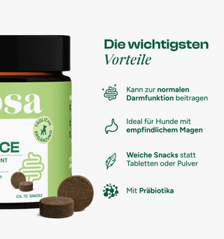 Darm Balance Verdauungssnacks