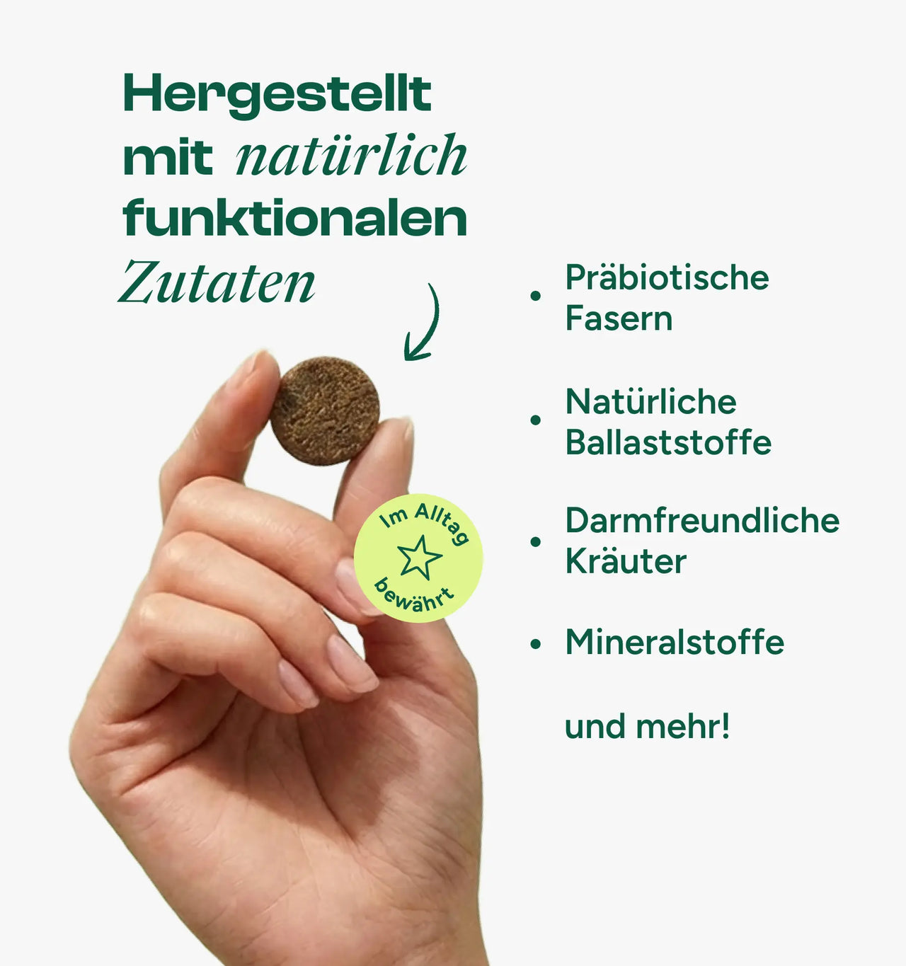 Darm Balance Verdauungssnacks