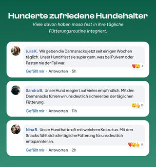 Darm Balance Verdauungssnacks