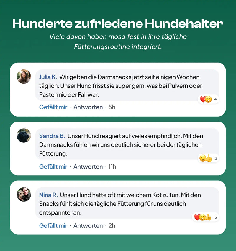 Darm Balance Verdauungssnacks Nachfüll-Pack