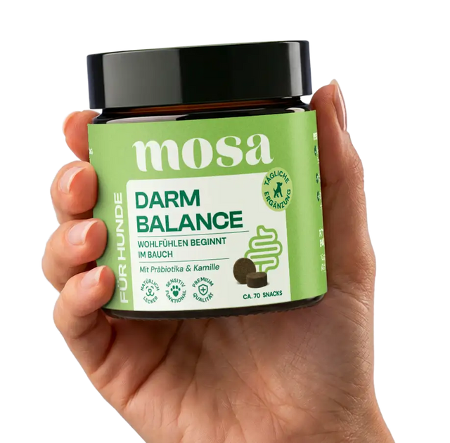 Darm Balance Verdauungssnacks