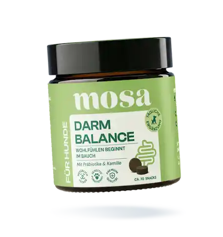 Darm Balance Verdauungssnacks