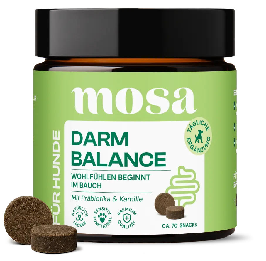 Darm Balance Verdauungssnacks