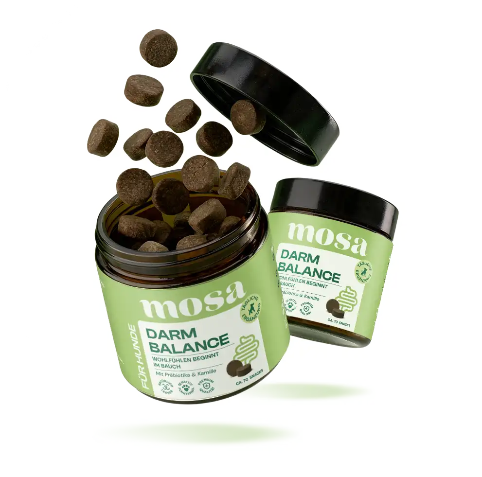 Darm Balance Verdauungssnacks