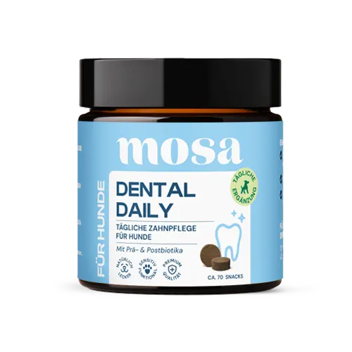 Dental Daily Zahnsnacks