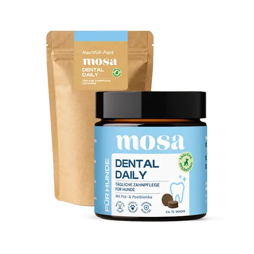 Dental Daily Zahnsnacks