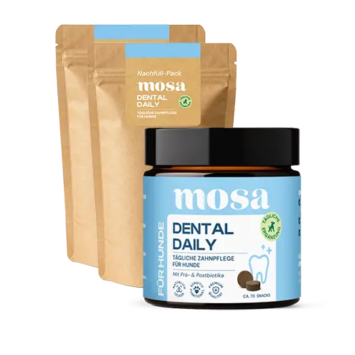 Dental Daily Zahnsnacks