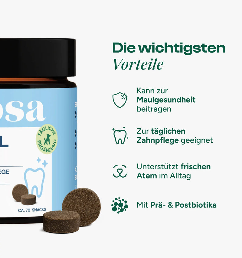 Dental Daily Zahnsnacks Nachfüllpack