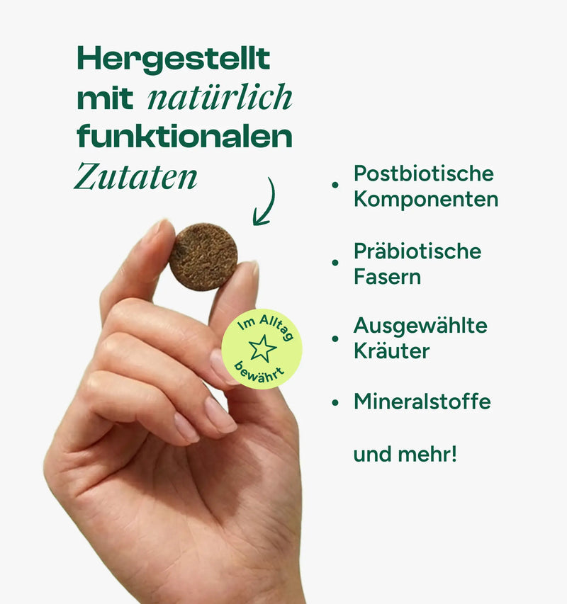 Dental Daily Zahnsnacks Nachfüllpack