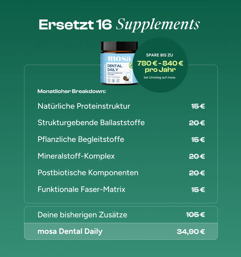 Dental Daily Zahnsnacks Nachfüllpack