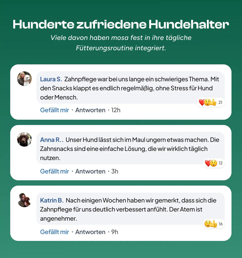 Dental Daily Zahnsnacks Nachfüllpack