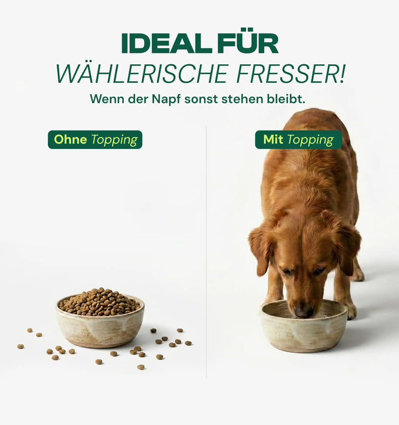 Futtertopping Huhn