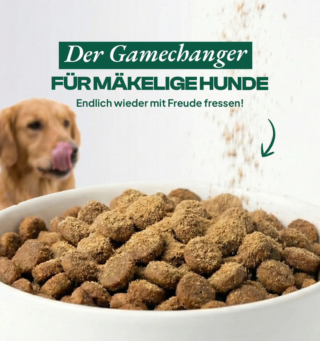 Futtertopping Pansen