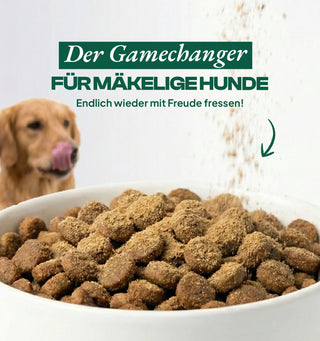 Futtertopping Pansen