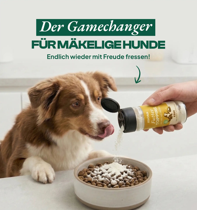 Futtertopping Käse