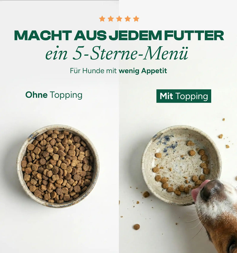 Futtertopping Käse