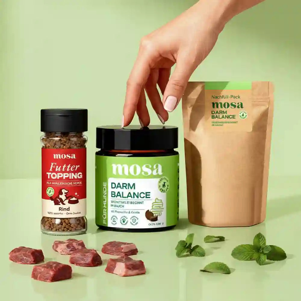 Mosa Rind Futter-Topping Hund – Mehr Appetit im Napf | mosa